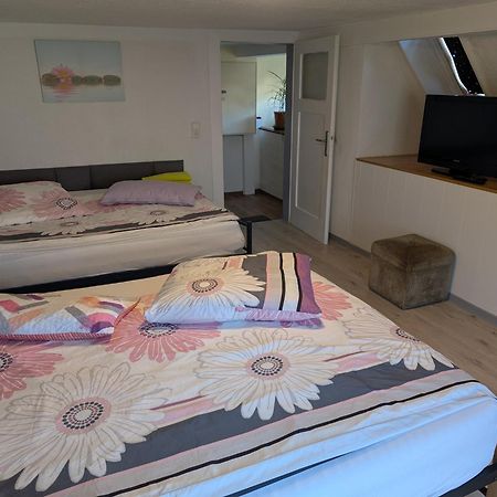 Feriendomizil Burgert Naehe Europapark Apartment Kippenheim Luaran gambar